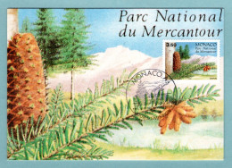 Carte Maximum Monaco 1991 - National Du Mercantour - Conifères - Sapin - YT 1800 - Maximum Cards