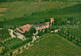 73083125 Bertinoro Forli Fattoria Paradiso Bertinoro Forli - Andere & Zonder Classificatie