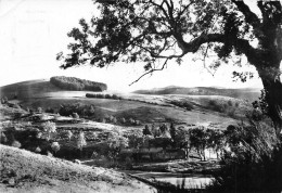 30  Val-d'Aigoual Le Massif Vallée De La Dourbie Et Le MAS Du BOULTOU   (scan R/V) 17 \PC1206 - Le Vigan