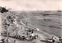 30  Le Grau-du-Roi  La Plage De La Rive Droite    (scan R/V) 10 \PC1206 - Le Grau-du-Roi