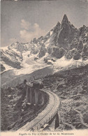 P-24-Mi-Is-1530 : CHAMONIX. CHEMIN DE FER DU MONTENVERS - Chamonix-Mont-Blanc