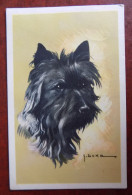 Cpa Chien Ill. G. Duka - Hunde