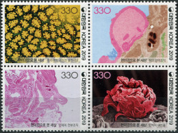 SOUTH KOREA - 2019 - BLOCK OF 4 STAMPS MNH ** - The World Through A Microscope - Korea, South