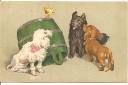 CPA Les 3 Chiens Et Le Poussin Dessin Aquarelle - Hunde