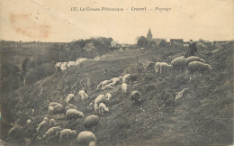 CPA France Crozant Sheep Heard - Crozant