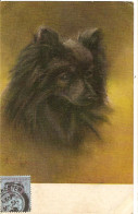 CPA Chien Style Loulou Noir Collection  Chiens D'Angleterre De Minnie Keene Dessin Aquarelle - Hunde