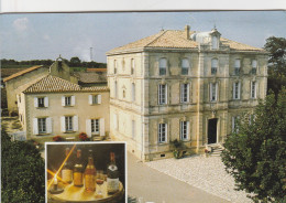 CPSM 30 L'ARDOISE LAUDUN CHATEAU ST MAURICE  VIN - Other & Unclassified