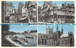 R063259 Chester. Multi View. Dennis - Welt