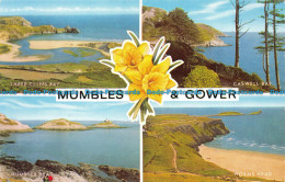 R063921 Mumbles And Gower. Multi View. Salmon - Welt