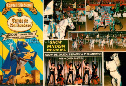 73072097 Tordera Castell Medieval Flamenco Tordera - Otros & Sin Clasificación