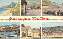 R064513 Greetings From West Dorset. Multi View. 1967 - Monde