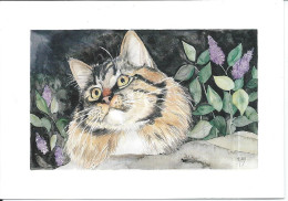 Carte  Le Chat Aquarelle De Patrick Mignard - Chats