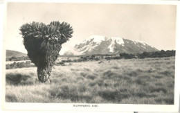 Kilimanjaro, Kibo   (2 X Scan)  (type Fotokaart) - Tansania