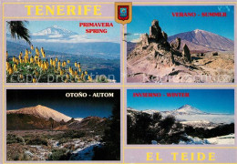 73071491 Tenerife Verano-Summer El Teide  Tenerife - Autres & Non Classés