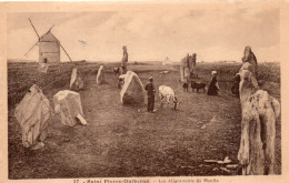 Saint-Pierre-Quiberon Animée Alignements Du Moulin Menhirs Dolmens Vaches Moulin à Vent - Quiberon