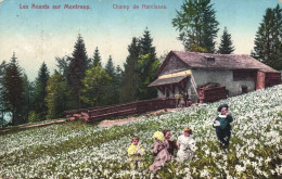 MONTREUX, GENEVA, CHILDREN, ARCHITECTURE, FIELD OF FLOWERS, SWITZERLAND, POSTCARD - Autres & Non Classés