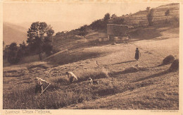 France - METZERAL (68) Sillackerwasen - La Moisson - Cliché J. Ehretsmann - Ed. Revue Alsacienne - Andere & Zonder Classificatie