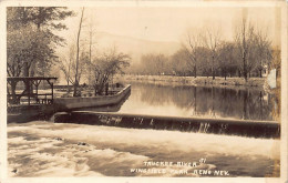 RENO (NV) Truckee River, Wingfield Park - REAL PHOTO - Reno