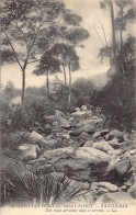 Tanganyika - An African Road In The Torrent - Publ. Missions Des Pères Du Saint-Esprit  - Tanzanía