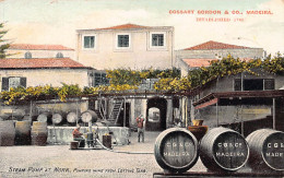 Madeira - Bomba De Vapor Em Funcionamento, Bombeando Vinho - Cossart Gordon & Co - Madeira