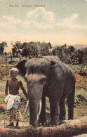 Sri Lanka - Colombo Elephant - Publ. S.D.H.M. Sadoon 38 - Sri Lanka (Ceilán)