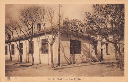 AUMALE Sour El-Ghozlane - Les écoles - Ed. EPA 16 - Other & Unclassified