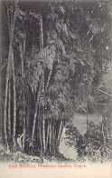 Sri Lanka - KANDY - Giant Bamboos, Peradeniya Gardens - Publ. Plâté & Co.  - Sri Lanka (Ceylon)