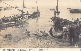 PALERMO - S. Erasmo - Arrivo Del Tonno - Ed. N.P.G. 87 - Palermo