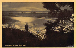 South Africa - CAPE TOWN - Moonlight Across Table Bay - Publ. Newman Art Publ. Co.  - Afrique Du Sud