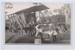 Vietnam - Charette Annamite - CARTE PHOTO Années 20 - Ed. D. Capra Giuseppe, Prêtre Salésien Italien  - Viêt-Nam