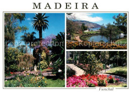 73070229 Madeira Funchal Madeira - Andere & Zonder Classificatie