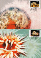 CORALS AND SEA ANEMONES 2X,CM,MAXI CARD,CARTES MAXIMUM , 2002 ROMANIA - Meereswelt
