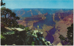 91 - Grand Canyon National Park (6 Cartes) - Grand Canyon