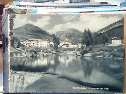 CAMPOLONGO DI CADORE VB1955 JV6448 - Belluno