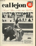 Callejon 6 Annuel Photos Et Bilan 1985 Sud-Ouest. - Cathalaa J. & Hiribarren B. & Pelletier C. - 1986 - Otros & Sin Clasificación