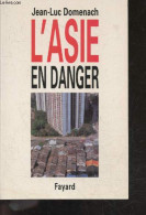 L'asie En Danger - Domenach Jean-luc - 1998 - History