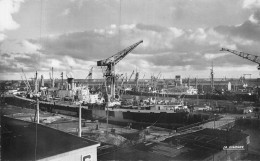 P-24-Mi-Is-1557 : LE HAVRE. LES CALES DES BATEAUX - Harbour