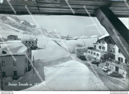 Bm190 Cartolina Passo Tonale Provincia Di Trento - Trento