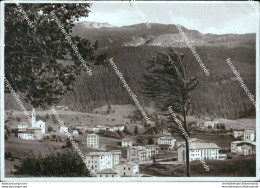 Bm260 Cartolina Andalo Panorama Provincia Di Trento - Trento