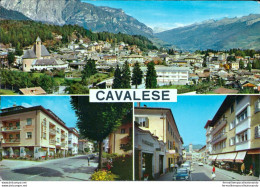 Bb310 Cartolina Cavalese Val Di Fiemme Trento - Trento