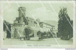 Bm308 Cartolina Trento Citta' Castello Del Buon Consiglio - Trento