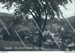 Bi370 Cartolina Torriglia La Svizzera Ligure Panorama Provincia Di Genova - Trieste