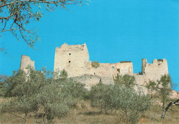 GREOUX LES BAINS - CHATEAU DES TEMPLIERS - Gréoux-les-Bains