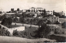 38041-ZE-TUNISIE-CARTHAGE-Perspective Sur La Colline - Túnez