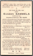 Bidprentje Wolvertem - Sammels Eugeen (1874-1936) - Images Religieuses