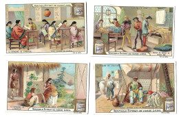 S 754, Liebig 6 Cards, Le Royaume De L'aiguille (ref B19) - Liebig