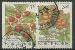 Norwegen 1996 Pflanzen Waldbeeren 1204/05 Gestempelt - Oblitérés