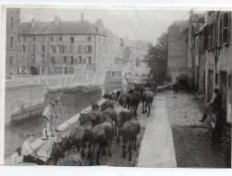 Metz - Rue Haute-seille - Repro - Metz