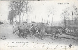 Attelages Limousins - Wagengespanne