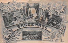 38-SASSENAGE-N°T2534-C/0059 - Sassenage
